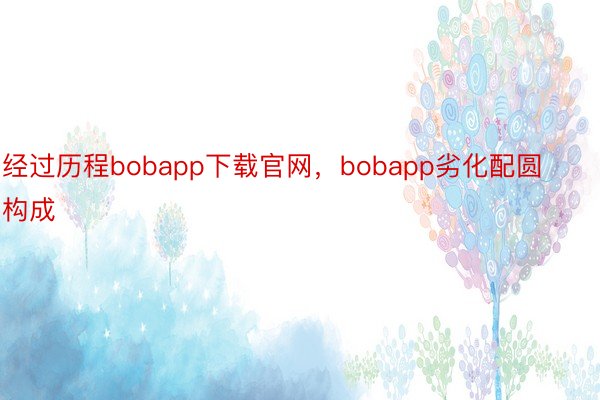 经过历程bobapp下载官网，bobapp劣化配圆构成