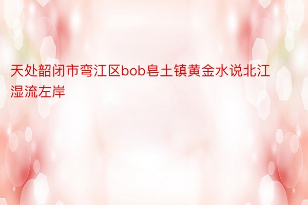 天处韶闭市弯江区bob皂土镇黄金水说北江湿流左岸